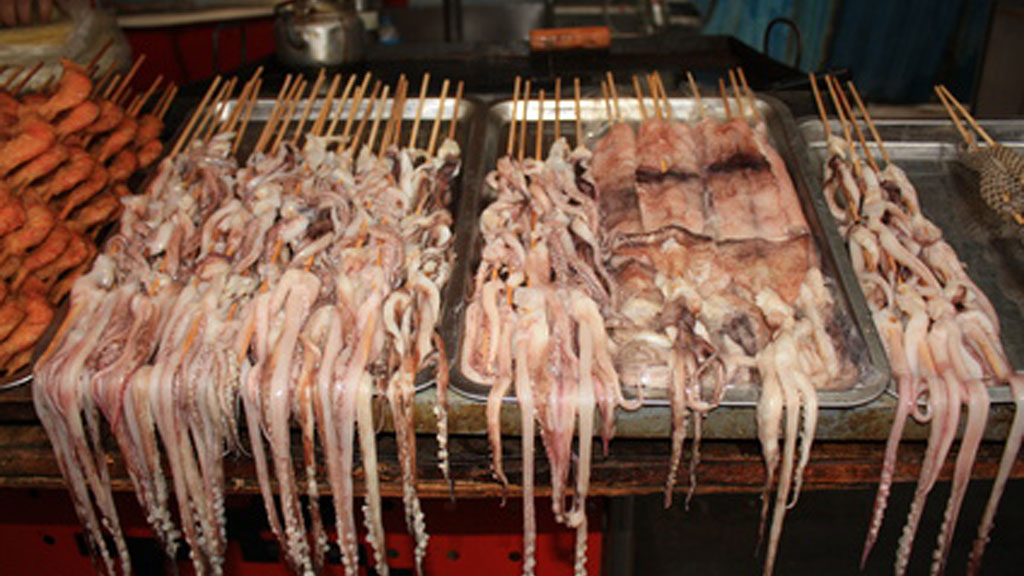 Fotolia_25746854_XS_1024 gegrillte Tintenfische