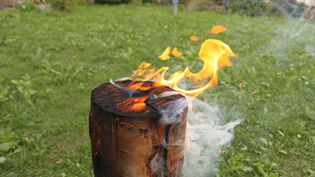 Schwedenfeuer