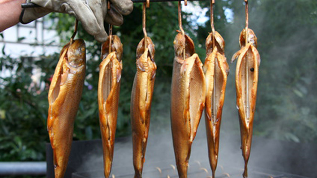 Fische kalträuchern