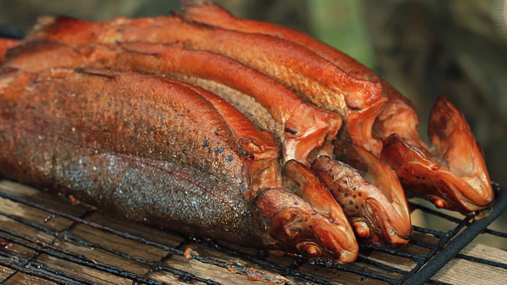 Forelle am Grill räuchern