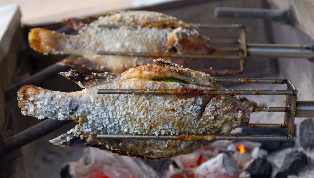 Grillspieß mit Motor