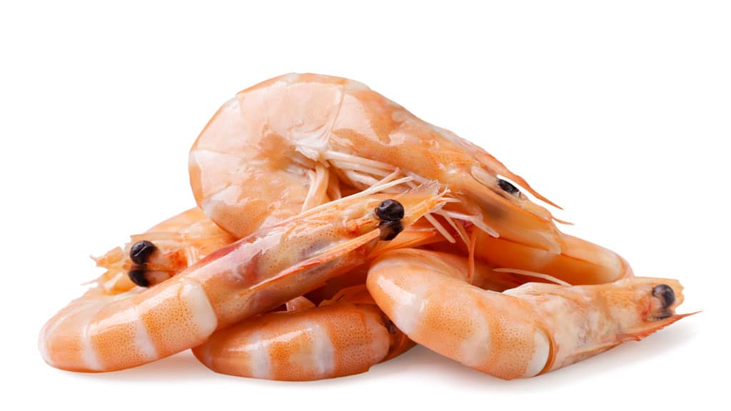 Ungeschälte Garnelen