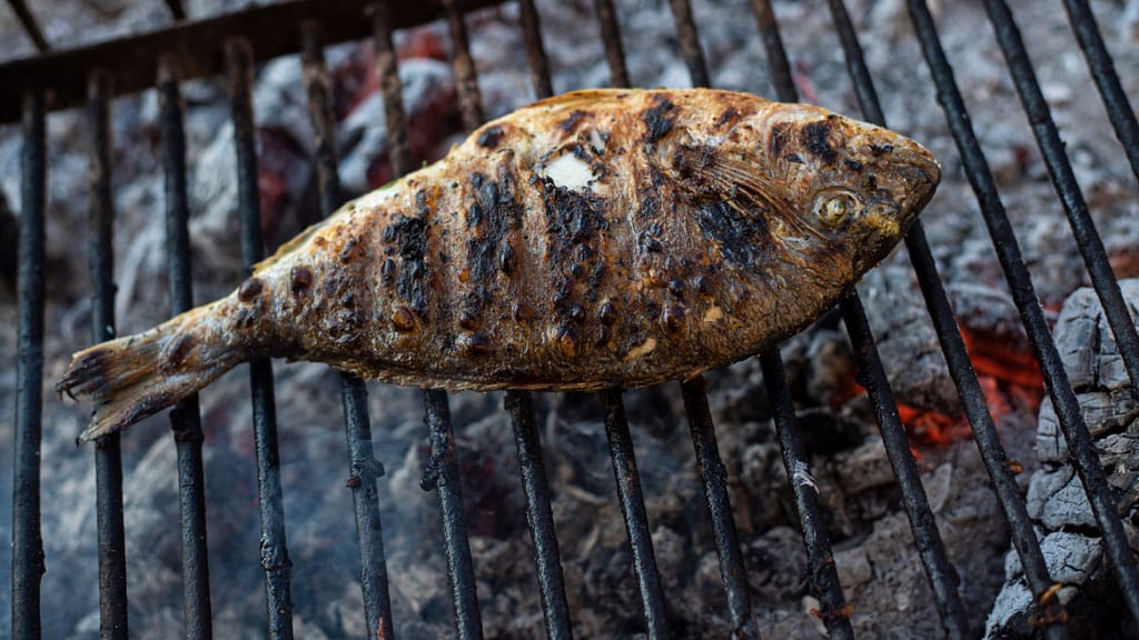 Dorade am Holzkohlengrill