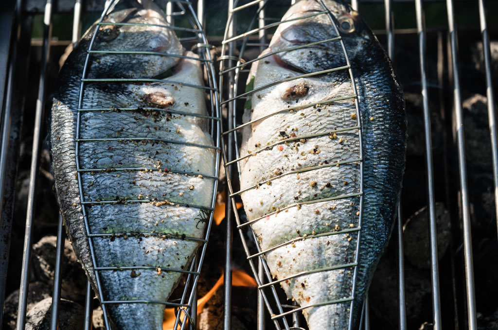Depositphotos_492523894_XL_1024 Dorade in Fischzange