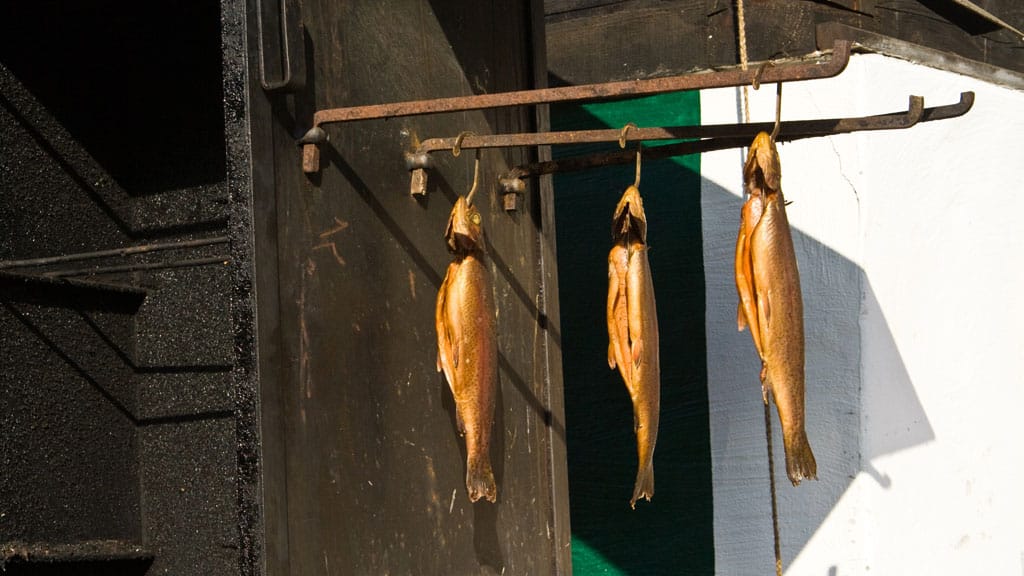 Forelle räuchern bei optimaler Temperatur